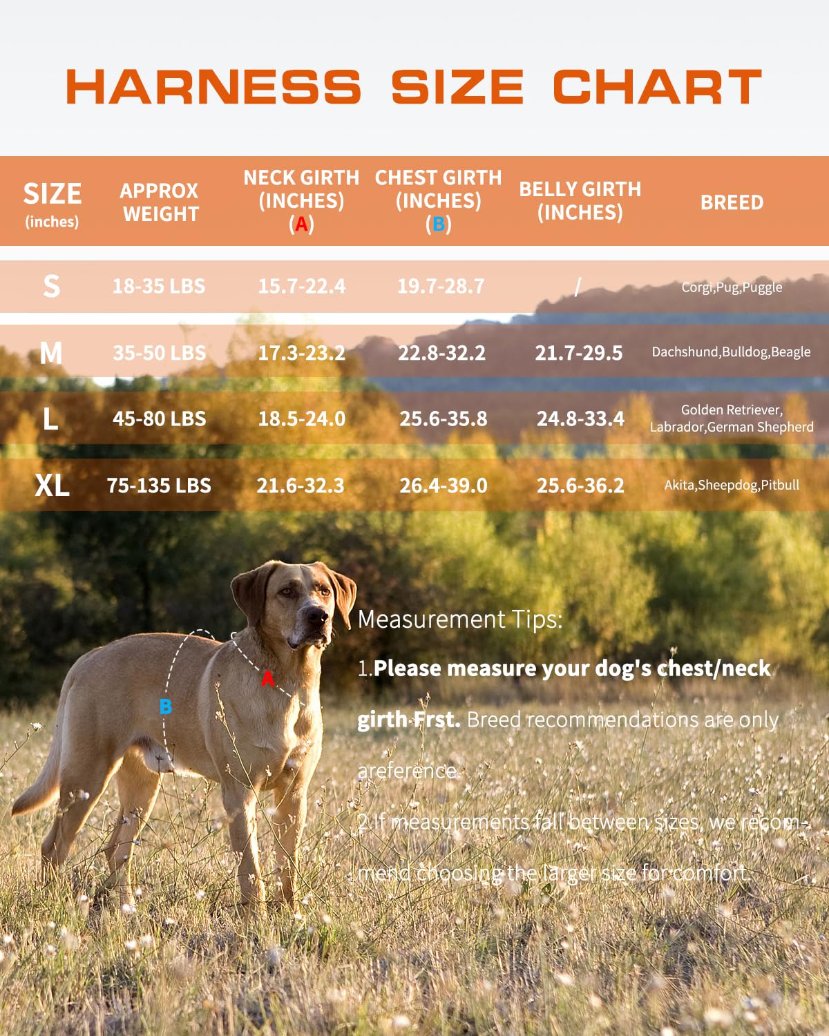 Dog Harness Medium Sized Dog (Orange / M(Neck:17-23",Chest:22-32"),35-50 lbs)