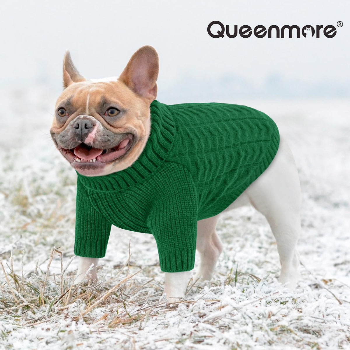 XXXL Dog Christmas Sweater Warm Soft Cable Knit Dog Sweater (XXX-Large / Green)