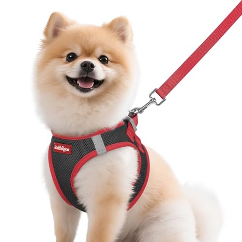 Dog Harness Small Sized and Leash Set (Black & Red / M (Chest: 16.0"-18.5"))