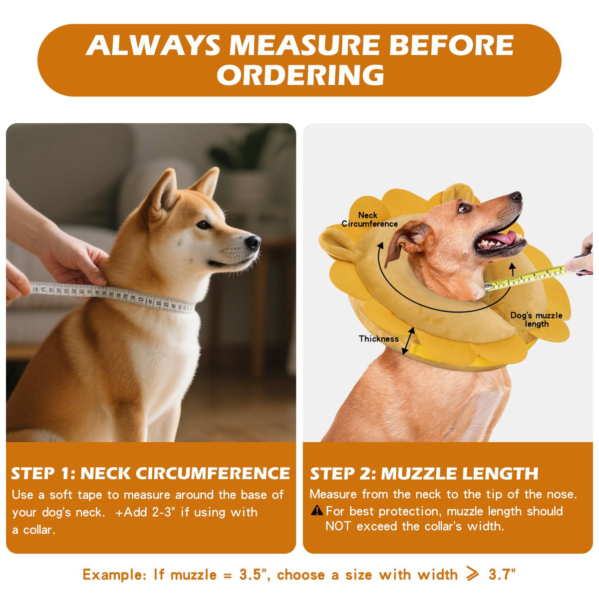Inflatable Recovery Dog Collar (Sunflower / Large + (Neck:18''-20''))