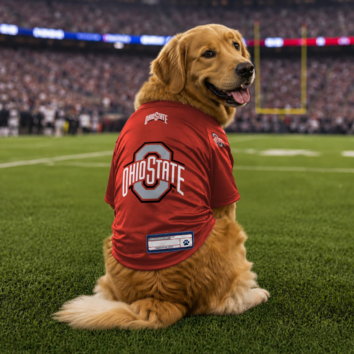 NCAA Ohio State Buckeyes Stretch Pet Jersey (Ohio State Buckeyes / X-Large)