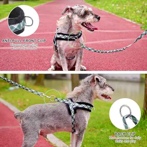 No Pull Small Dog Harness and Leash Set (Green_Velvet / S: Chest 17.5"-22")