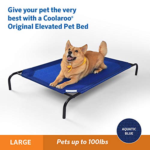 Original Elevated Dog Bed (Large Dog Bed / Aquatic Blue)