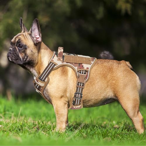 Tactical No Pull Dog Harness with Leash (Desert Camo / Medium)
