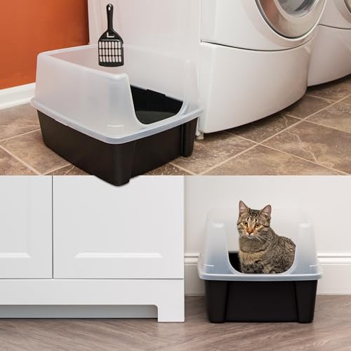 High Sided Cat Litter Box (Large - 2 Pack / Black)