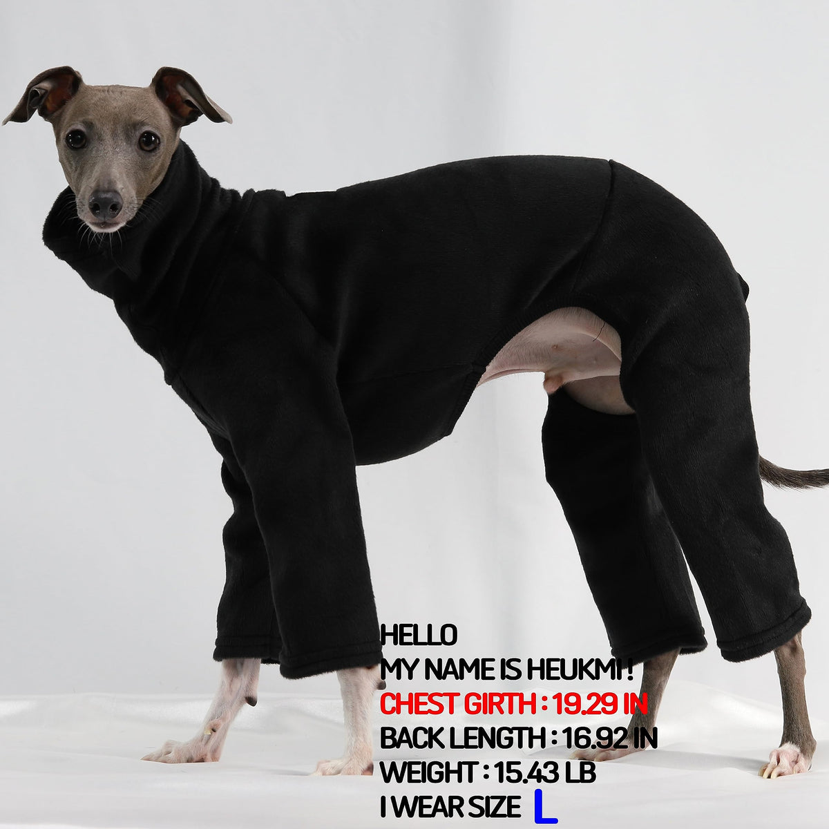 D Doggy Star Italian Greyhound Clothes Sweater Fleece Basic Onesie Whippet for Dog Turtleneck Outfits Coat (S / Flc Black)