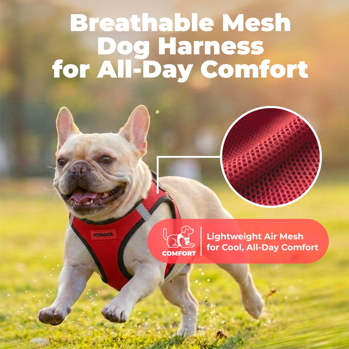 Voyager Step in Air Dog Vest Harness (Red/Black Trim / S (Chest: 14.5 - 16"))