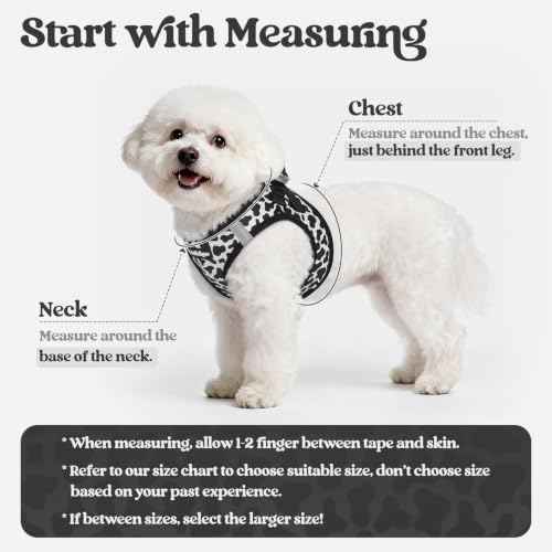 Dog Harness Small Sized and Leash Set (Black White Cow / Xs (chest: 13.3 - 15.5"))