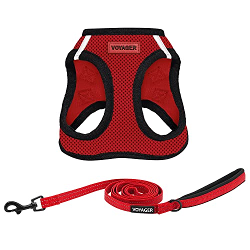 Voyager Step in Air All Weather Mesh Harness and Reflective Dog 5ft Leash Combo with Neoprene Handle