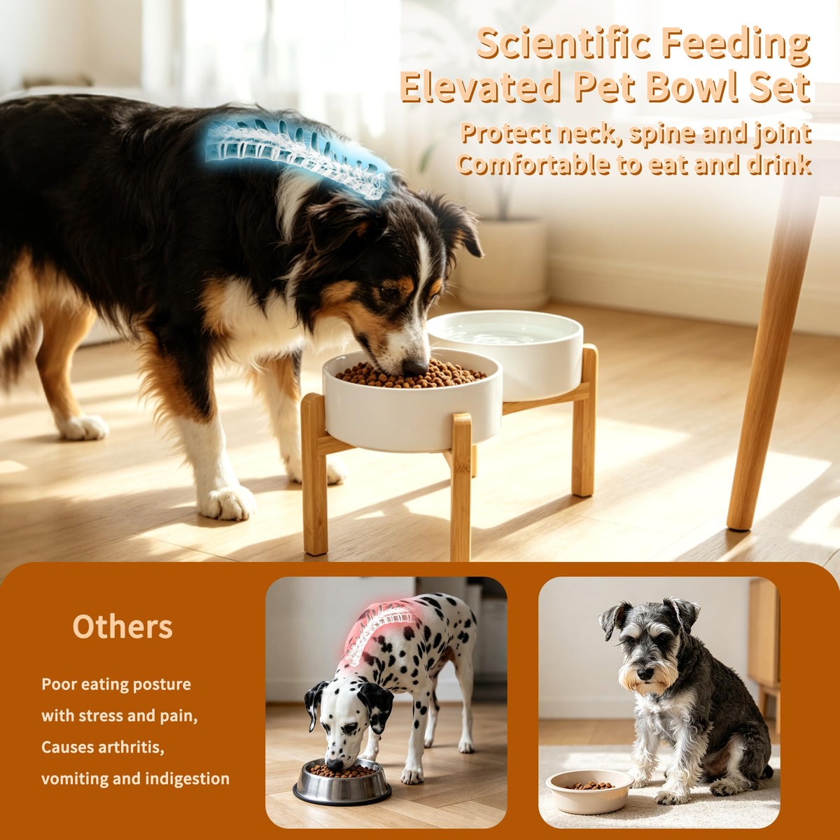 Elevated Ceramic Dog Bowl Set (White / Large)