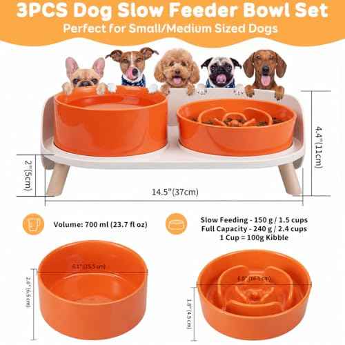 Elevated Slow Feeder Dog Bowls with Splash Proof Stand (Medium / Orange)