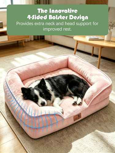 Orthopedic Dog Bed with Sides (35.0"L x 25.0"W x 6.5"Th / Pink)