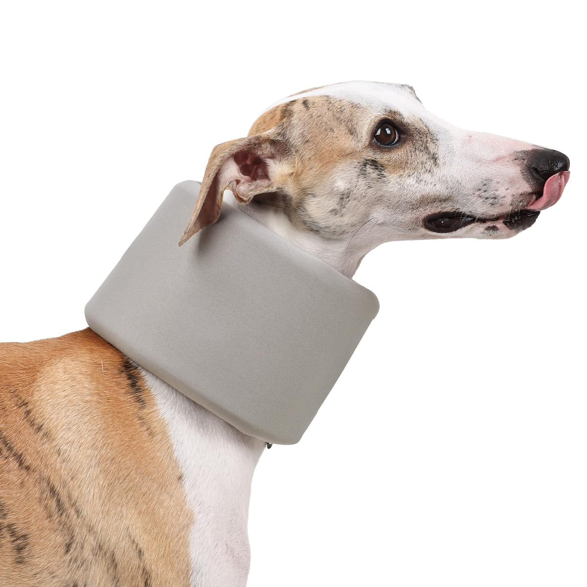 Dog Neck Brace for Pet After Surgery Recovery Adjustable Breathable Neck Cervical Cone (Gray / S)