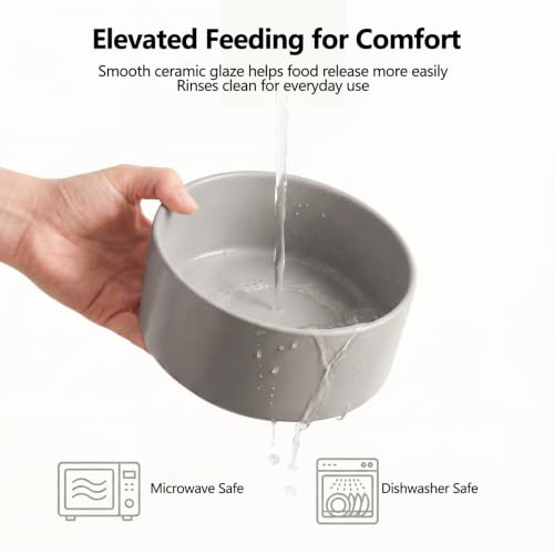 Raised Dog Bowl (Medium-2 / White)