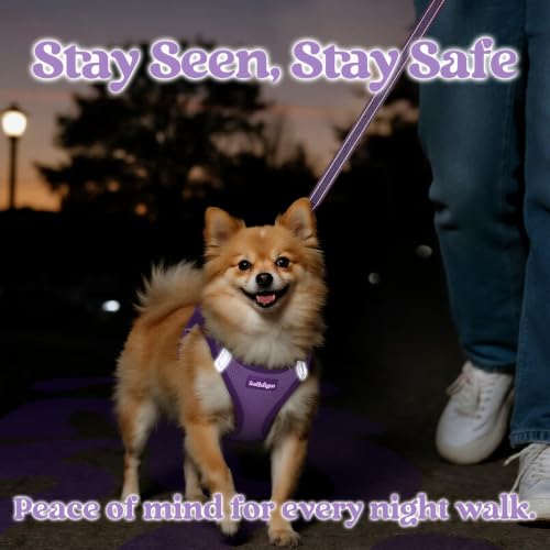 Dog Harness Small Sized and Leash Set (Light Purple & Purple / XXS (Chest: 12.4"-14.2"))