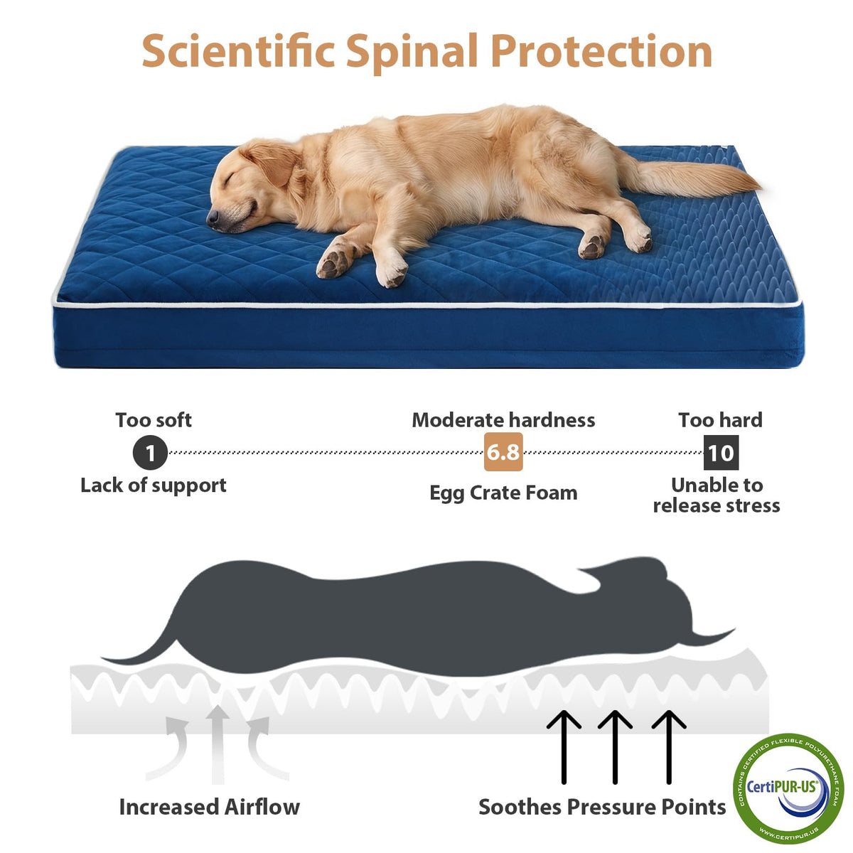 Orthopedic Giant Human Dog Beds for Adult & Dog Cozy Sleep (Blue / 61"L x 43"W x 4"Th)