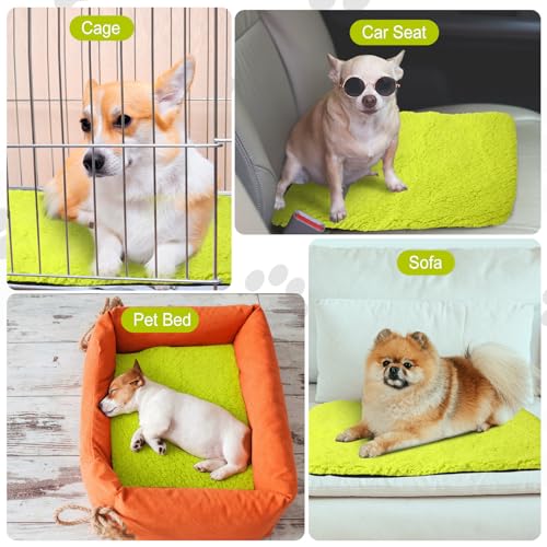 4 Pack Self Warming Cat Mat for Pets (16 x 20 Inch / Green)