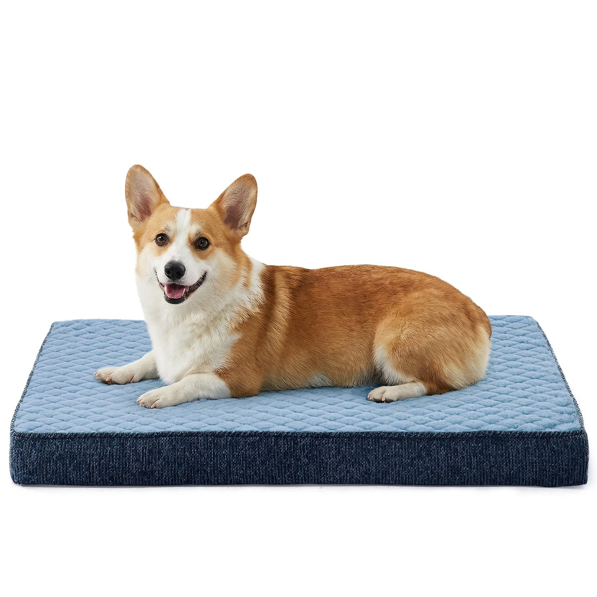 Orthopedic Medium Dog Bed (M(29"x18") / Blue)