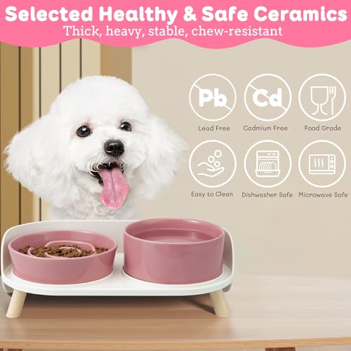 Elevated Slow Feeder Dog Bowls with Splash Proof Stand (Medium / Pink)