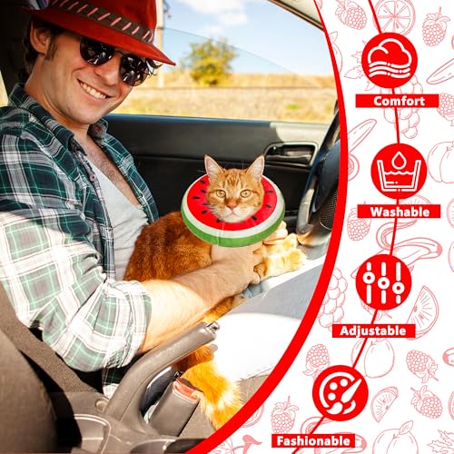 Cat Cone Collar Soft (Watermelon / Medium)