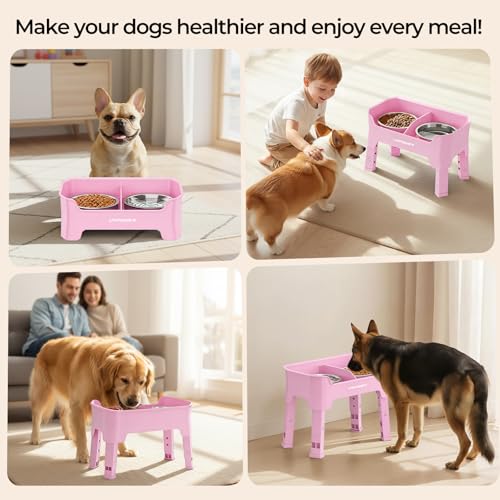 Mess Proof Elevated Dog Bowls (Pink / Medium)