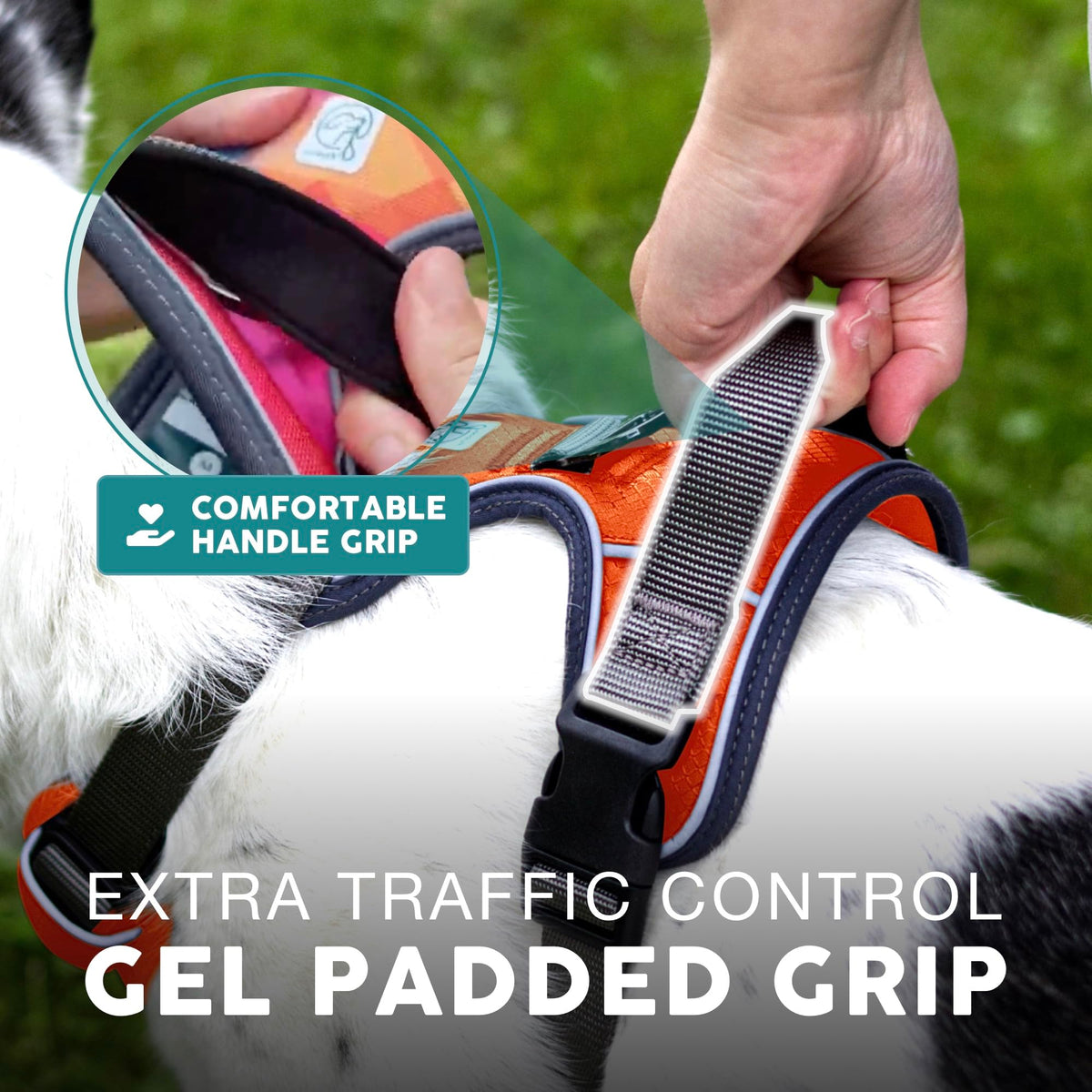 Embark No Pull Dog Harness (XS / Santa Monica)