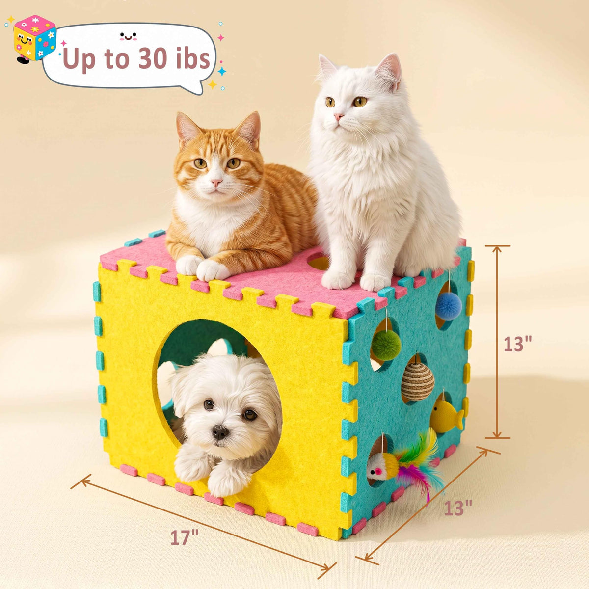 41 Pcs Interactive Cat Toys for Indoor Cats (Contemporary)