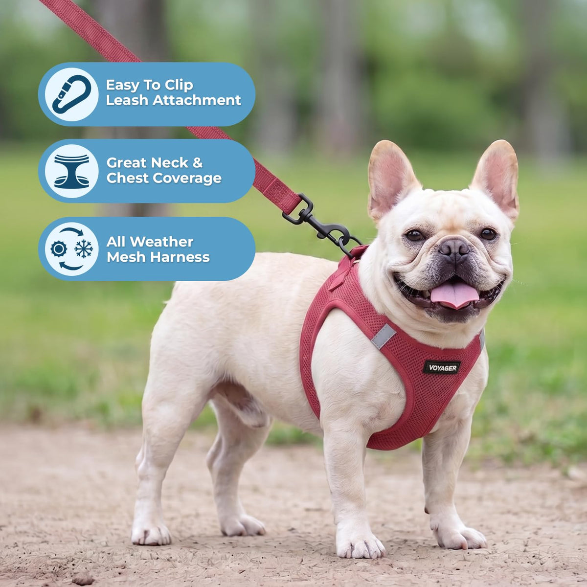 Voyager Step in Air All Weather Mesh Harness and Reflective Dog 5ft Leash Combo with Neoprene Handle (Burgundy / S (Chest: 14.5 - 16"))