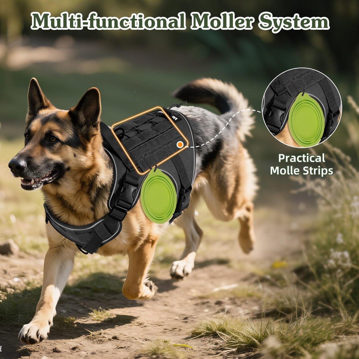 Heavy Duty Tactical Dog Harness for Small Dogs (Black / S (Chest: 19.6-31.5", Neck: 11-19.6"))