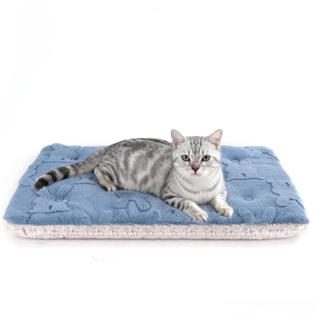Self Warming Cat Bed (S - 22 X 16 Inch)