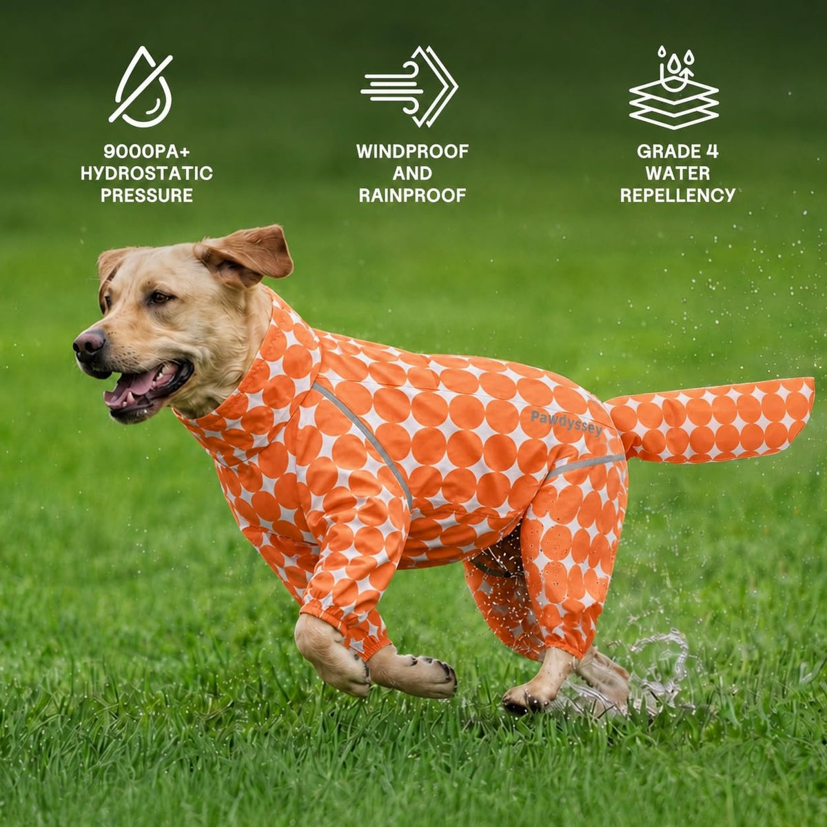Polka Dot Dog Raincoat (Orange / X-Large)