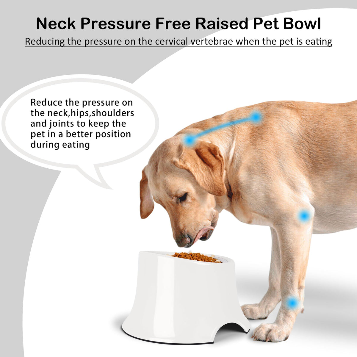 Dog Bowls Non (S/1 Cup / White)