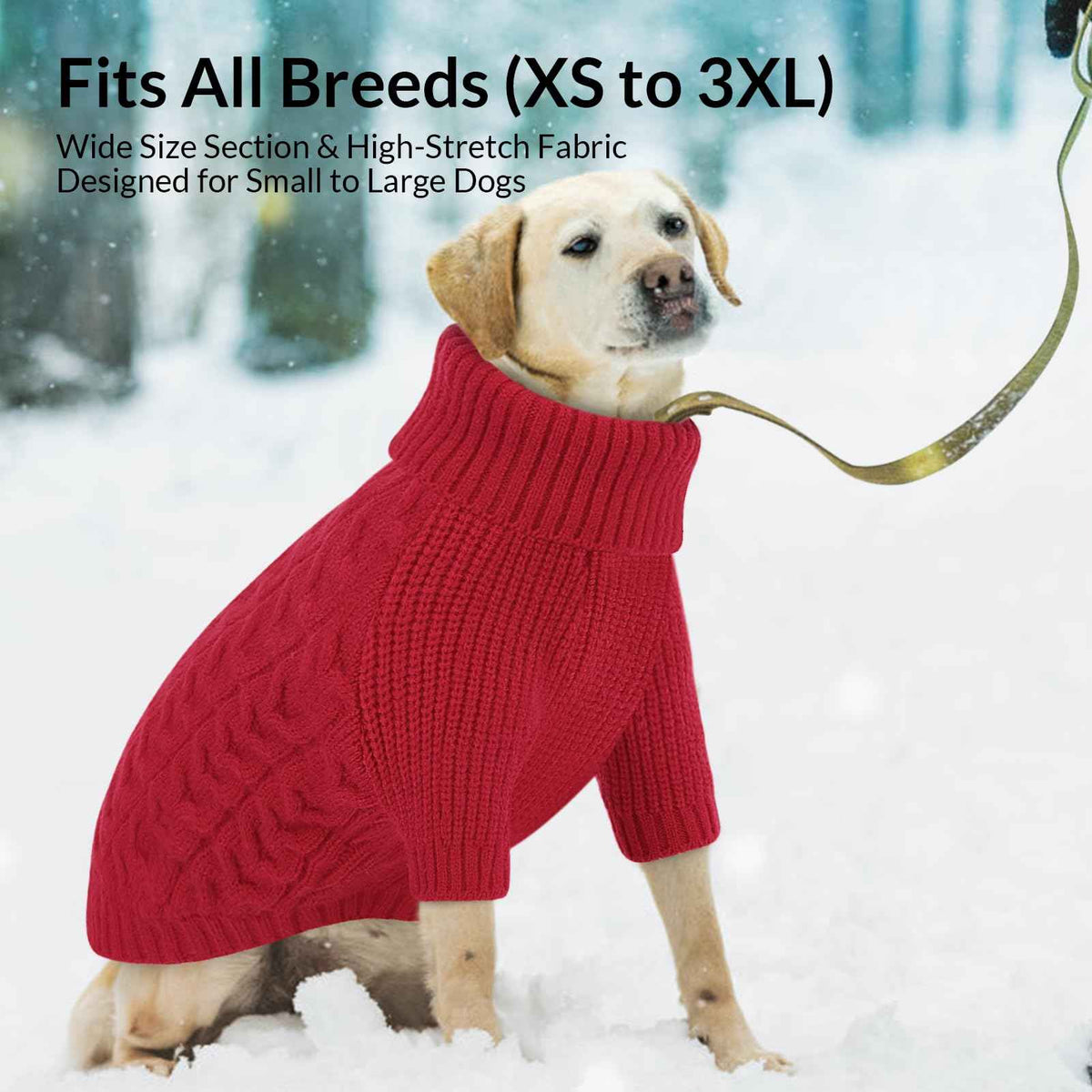 Red Dog Christmas Sweater Warm Soft Cable Knit Dog Sweater (Medium / Red)