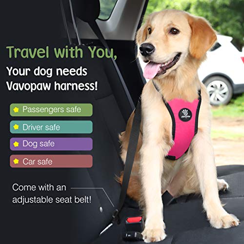 Dog Seat Belt Vest Harness for Car (Magenta / XL (Chest: 24.4-34.7", Neck: 18.9-29.1"))
