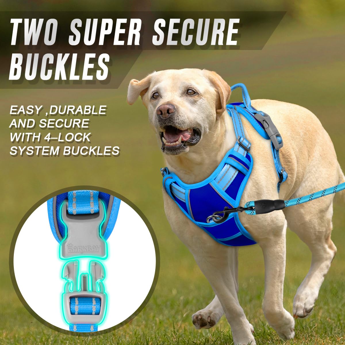 Dog Harness No Pull for Large Dogs Front Back Clips (X-Large(Chest:30-38”) / Sapphire Blue & Blue)