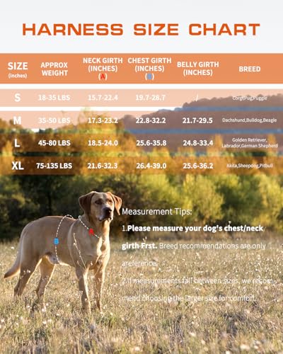 Dog Harness Tactical No Pull for Small Sized Dog with Handle (Orange / S(Neck:16-22",Chest:20-28"),18-35 lbs)