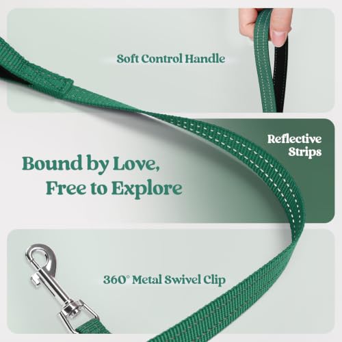 Dog Harness Small Sized and Leash Set (Rainforest Green / Xs (chest: 13.3 - 15.5"))
