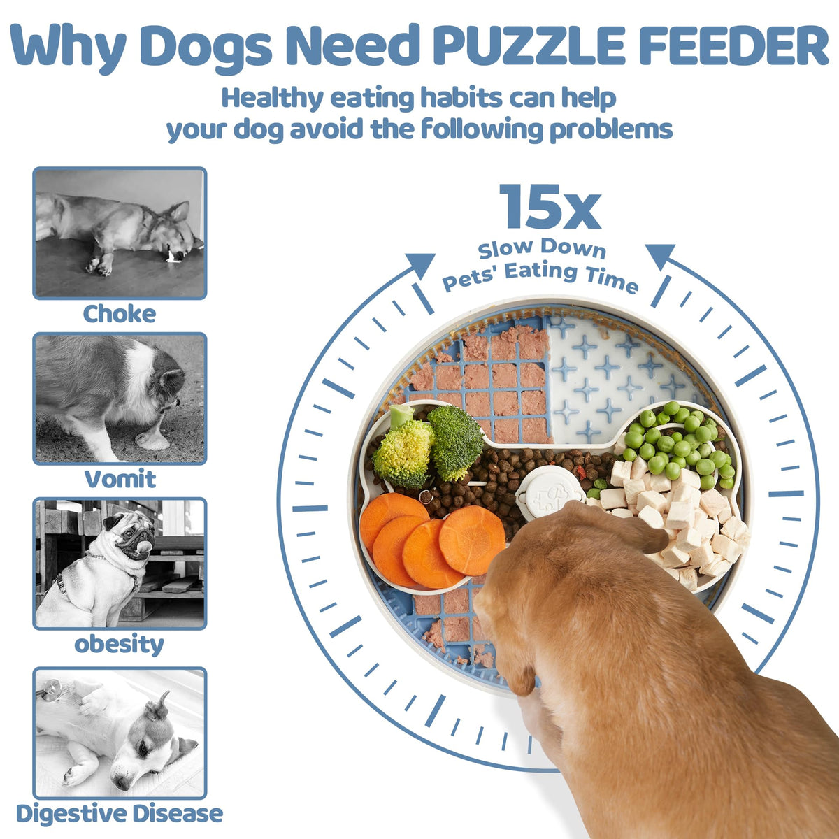 Slow Feeder Dog Bowl with Lick Mat and Puzzle Inserts (L / Blue)