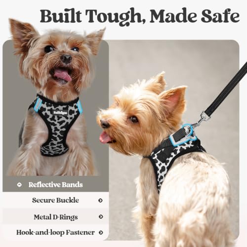 Dog Harness Small Sized and Leash Set (Black White Cow / Xs (chest: 13.3 - 15.5"))