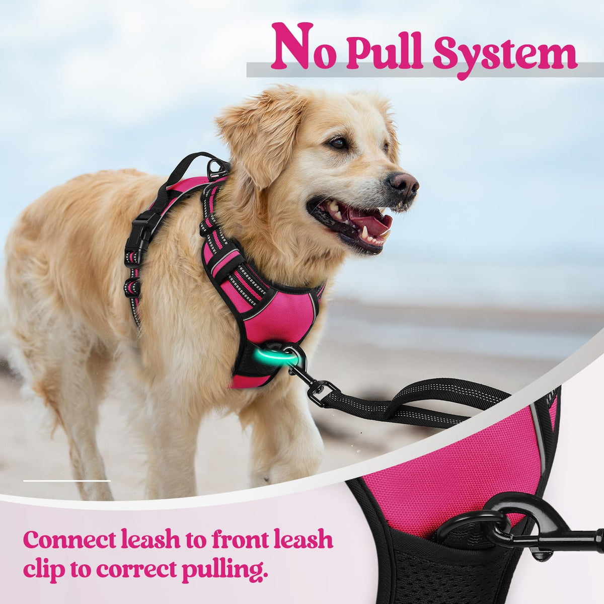 Dog Harness No Pull for Large Dogs with 2 Leash Clips (X-Large / Hot Pink)