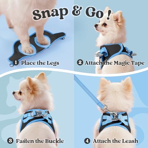 Dog Harness Small Sized and Leash Set (Black & Blue / L (Chest: 18.2"-20.5"))