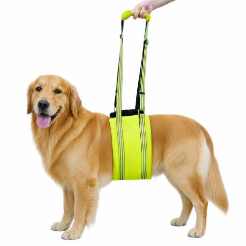 Green Dog Lift Harness with Reflective Strips for Large Dogs