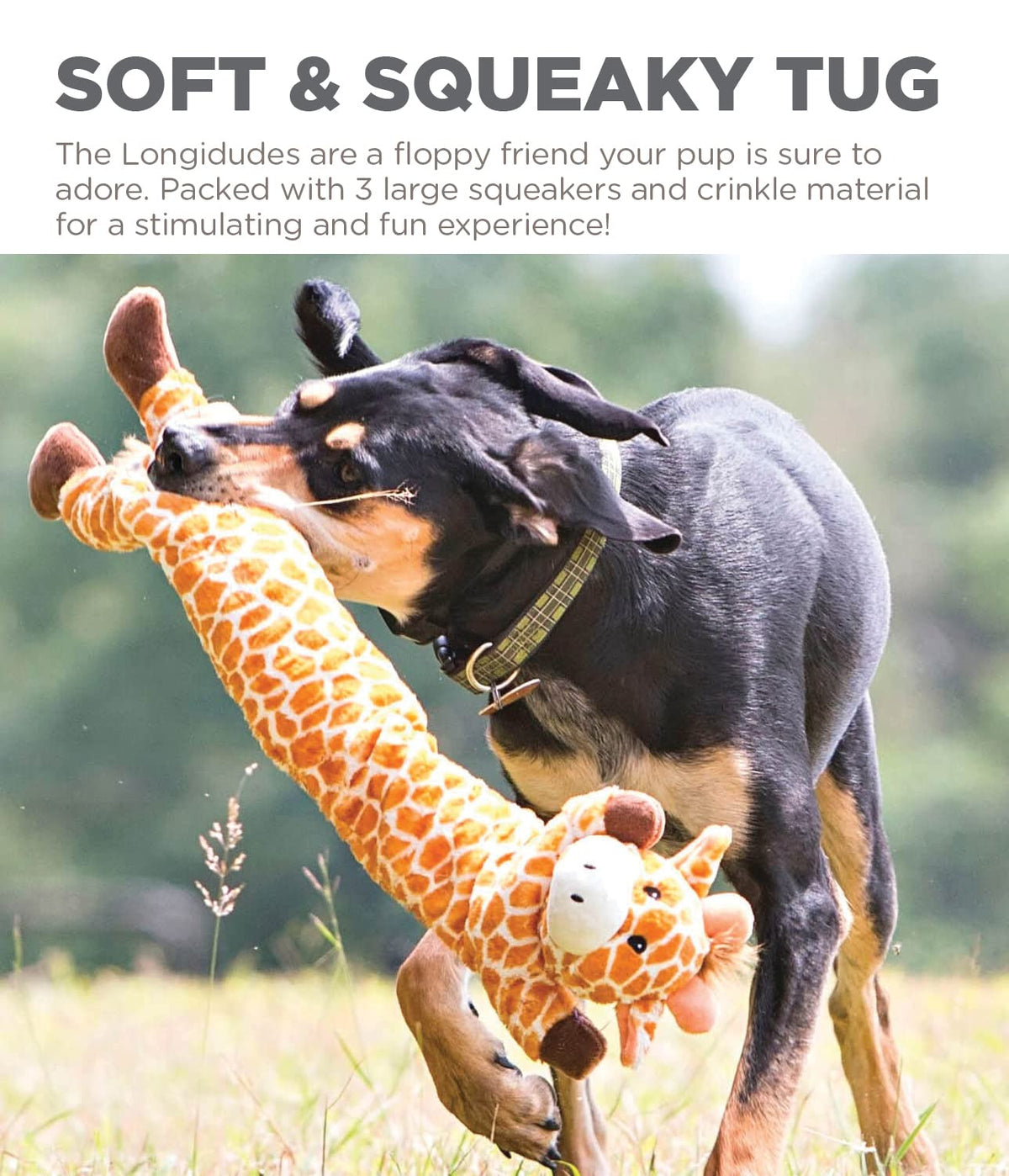 by Charming Pet Longidudes Giraffe Plush & Squeaky Dog Tug Toy