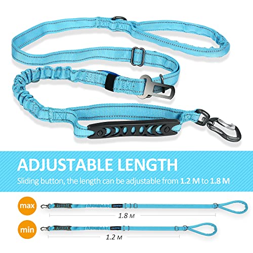 Multifunctional Dog Leash (Light Blue)