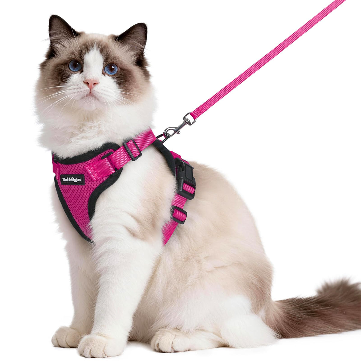 Cat Harness and Leash Set (M / Rose Red)