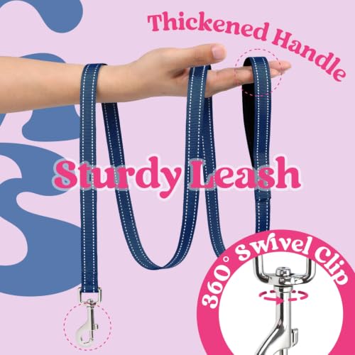 Dog Harness Small Sized and Leash Set (Rose Red & Navy Blue / XXS (Chest: 12.4"-14.2"))