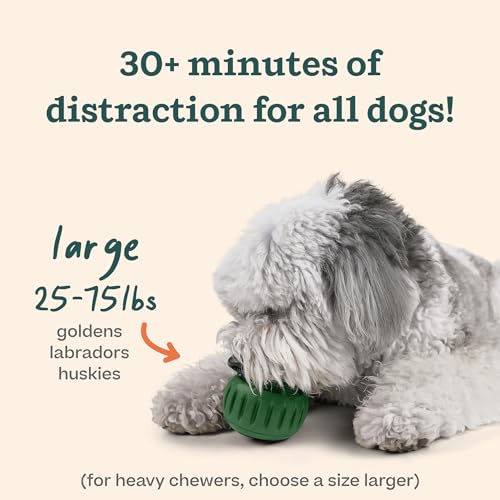 Pupsicle Dog Treat Toy with Silicone Treat Tray for Dogs 25 (Large Pupsicle + Treat Tray)