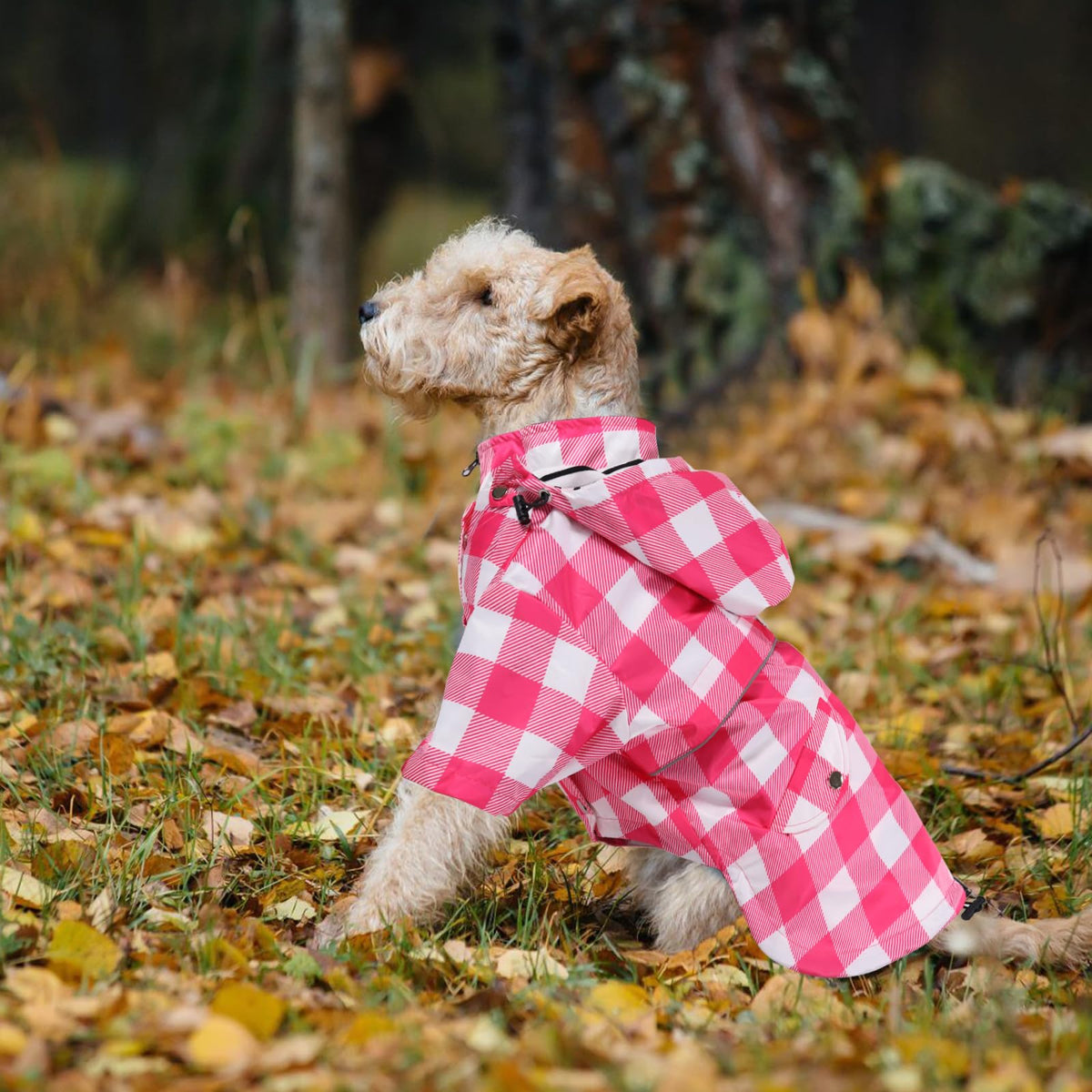 Dog rain Coat Waterproof Raincoat Puppy Jacket with Legs Buttons Zipper Hood Drawstring Fit for Yorkie Terrier Schnauzer Poodle Border Collie Labrador Golden Retriever 8lbs to 80lbs Pink M (Medium / Pink Plaid)