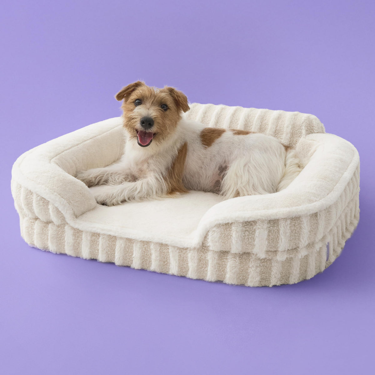 Cute Cozy High Back Orthopedic Dog Beds Medium Size Dog (28.0"l X 23.0"w X 6.5"th / Beige)