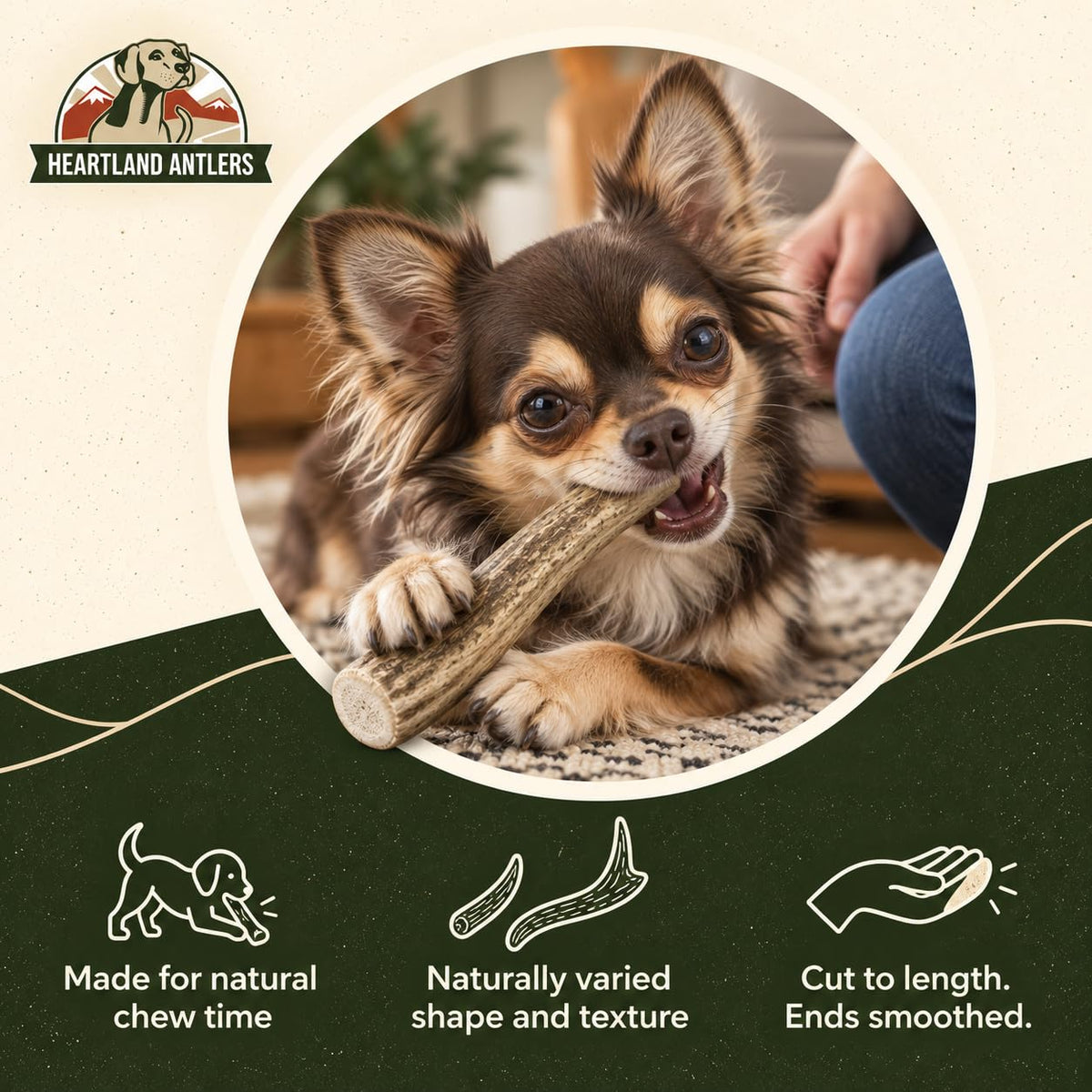 Deer Antler Dog Chew (Small 2-pack (Dogs 5-25 lbs))